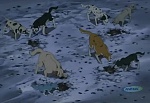 Ginga Densetsu Weed picture