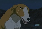 Ginga : The Justice of Two picture