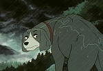 Ginga Nagareboshi Gin picture