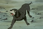 Ginga Nagareboshi Gin picture