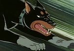 Ginga Nagareboshi Gin picture