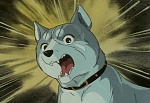 Ginga Nagareboshi Gin picture