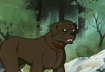 Ginga Nagareboshi Gin picture