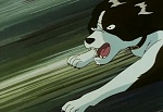 Ginga Nagareboshi Gin picture