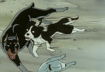 Ginga Nagareboshi Gin picture