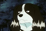 Ginga Nagareboshi Gin picture