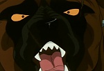 Ginga Nagareboshi Gin picture