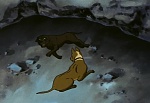 Ginga Nagareboshi Gin picture