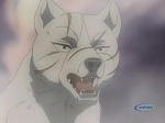 Ginga : The Zetsu Tenrou Battouga picture