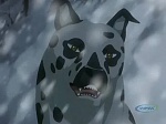 Ginga Densetsu Weed picture