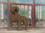 Ginga : A Fool's Disposition picture