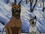 Ginga : The Ohu Suicide Corps picture