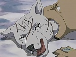 Ginga : The Ohu Suicide Corps picture