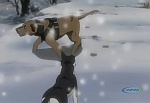 Ginga Densetsu Weed picture
