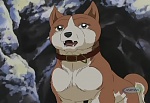 Ginga Densetsu Weed picture