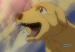 Ginga Densetsu Weed picture