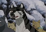 Ginga Densetsu Weed picture