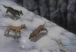 Ginga : The War of Futago Pass Begins picture