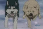 Ginga Densetsu Weed picture