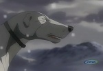 Ginga : The War of Futago Pass Begins picture