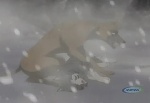 Ginga Densetsu Weed picture