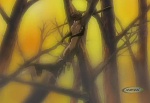 Ginga Densetsu Weed picture