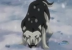 Ginga Densetsu Weed picture