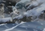 Ginga : The Raging Stream picture