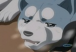 Ginga : The True Ginga Legend picture