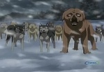 Ginga : The True Ginga Legend picture