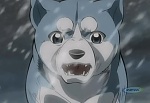 Ginga : The True Ginga Legend picture