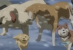 Ginga Densetsu Weed picture