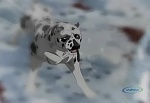 Ginga Densetsu Weed picture