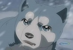 Ginga Densetsu Weed picture