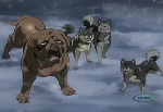 Ginga : The True Ginga Legend picture