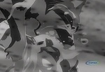 Ginga Densetsu Weed picture