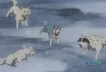 Ginga : The True Ginga Legend picture