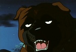Ginga : Patience Dog! The Dark Shadow of the Iga Village! picture