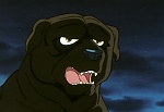 Ginga Nagareboshi Gin picture
