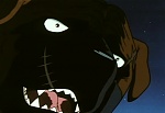 Ginga Nagareboshi Gin picture