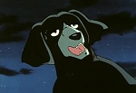 Ginga Nagareboshi Gin picture