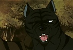 Ginga Nagareboshi Gin picture