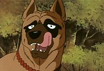 Ginga : Patience Dog! The Dark Shadow of the Iga Village! picture