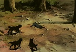Ginga Nagareboshi Gin picture