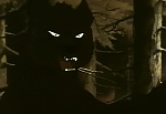 Ginga Nagareboshi Gin picture