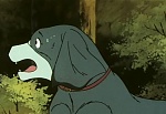 Ginga Nagareboshi Gin picture