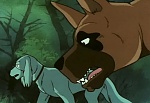 Ginga : It's Dangerous Ben! The Confrontation of the Ninja Grounds! picture