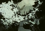 Ginga Nagareboshi Gin picture