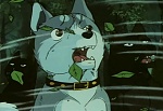 Ginga Nagareboshi Gin picture