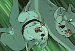 Ginga Nagareboshi Gin picture